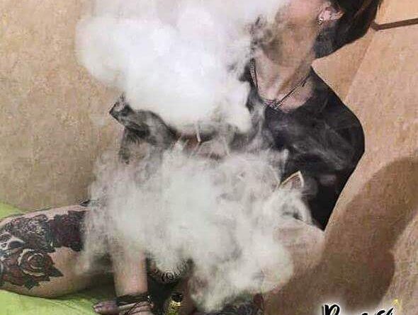(notitle)